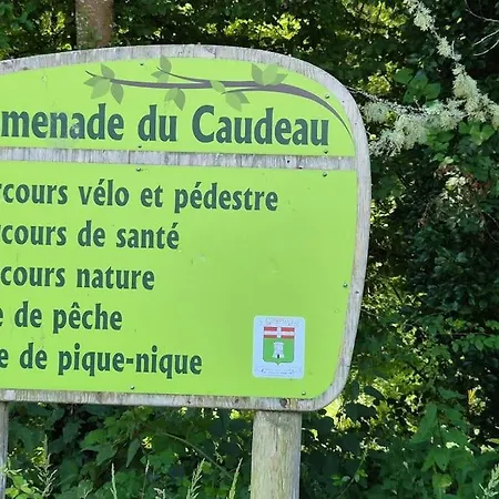 Casa vacanze Grande Maison Familiale Avec Piscine *